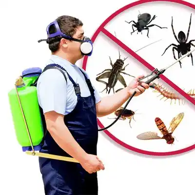 pest control Meadow Lake